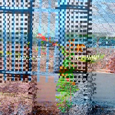 ĐẤT VƯỜN TÂY NINH GIÁ SIÊU RẺ