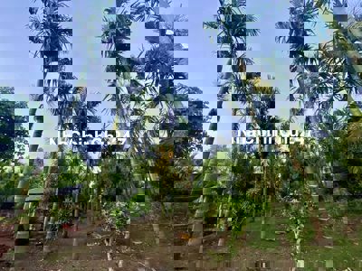 🏡 BÁN KHU VƯỜN ĐẸP 1,4HA – 5 SỔ HỒNG – XÃ DLEIYA - KRONGNANG - DAKLAK