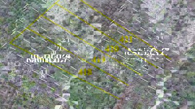 Bán mảnh đất 1.000 m2 tại tỉnh Daklak