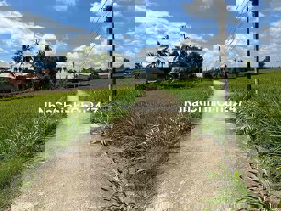 179 triệu hết đất 525m2 Sổ sẵn ở Lạc Tấn