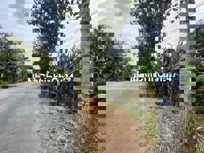 Bán Đất 8000m2 Gần Ngã Ba Đường QL 57,Đường Huyện 29 Xa An Quy