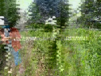 bán đất Nông Nghiệp sào mẫu - xã tam an- H long thành- T ĐNai