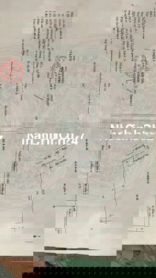 đất diện tích lớn đức hòa long an