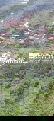 Để lại vườn cà phê cho ai cần em là chủ thiện chí hãy gọi