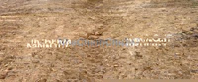 20.000m2 đất cây lâu năm bằng phẳng vuông vắn rất đẹp