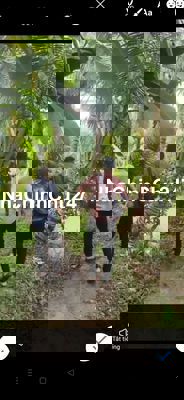 780m2 đất Tân Hoà Hậu Giang