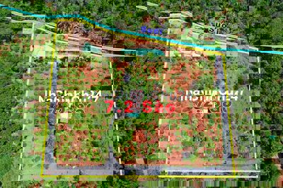 7,2 sào gần hồ câu Cali Nguyễn Thị Định thuộc Khánh Xuân 4,5 tỷ