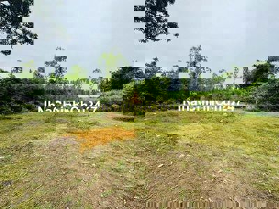 Cần bán đất Đức Bình Đông, Sông Hinh, Phú Yên