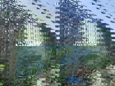 Đất phi nông nghiệp 56x110 ,đường xe công 24/24 cách quốc lộ 1A 300m