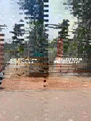 Đất sào, có sẳn nhà cấp 4 và vườn trái cây, mặt tiền nhựa, xã Tây Hoà