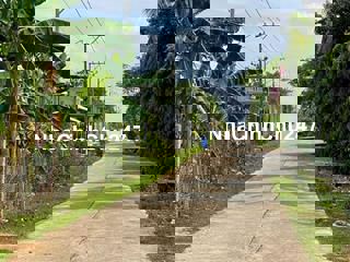 Bán 1.5 héc đất vườn đường bê tông ô tô tận nơi tại Định Quán,Đồng Nai