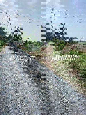 Bán rẻ đất nông nghiệp 2.888m2 đường xe tải Bình Chánh