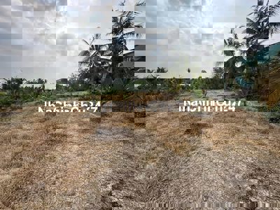 BÁN GẤP 1.089M² ĐẤT VƯỜN – CÁCH QL1A CHỈ 100M- GIÁ TỐT ĐẦU TƯ