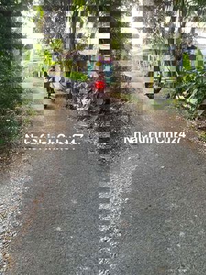 Đất Cây lâu năm 7x40m