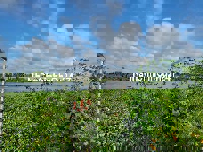 Đất dưỡng già,Đầu tư ,view Sông Vàm Cỏ bao đẹp ,mát 😍