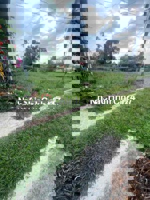 Bán Lô Đất SĐR DT 14x12 Đg 5mGiồng lớn 2/Ngắn Mỹ Hạnh Nam LA 850tr