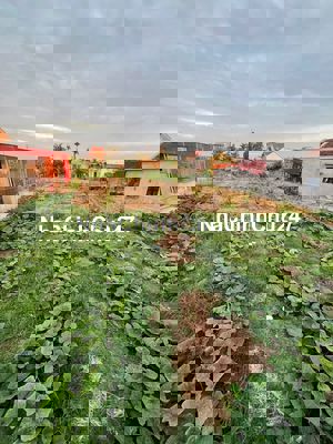 Đất 03 - 140m2 - Tại đường 361 Bàng La