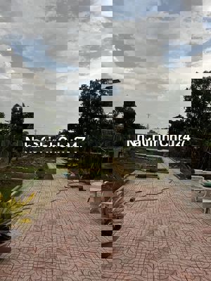 Bán nhà vườn hẻm xe hơi, Lê Văn Lương, Nhà Bè. 1184m2 giá 10,65 tỷ