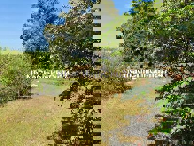 CẦN BÁN LÔ ĐẤT 1.520m2 TẠI TRÀ CỔ - TÂN PHÚ - ĐỒNG NAI