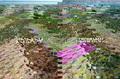 Đất vườn 18x54m ( tách đôi được)  Hàng vịp- Cách kênh xáng 100m.