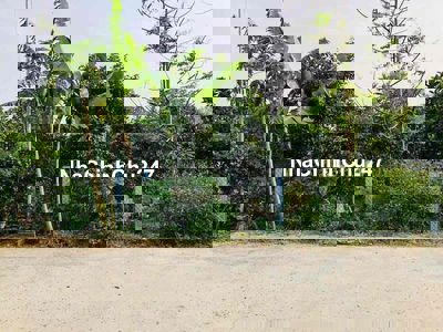 Bán Nền 878m2 Trên Đất Trồng Sầu Riêng Lộ Oto Gần Chợ Trường Long