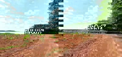 Đất sào giá rẻ