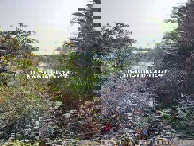 Bán đất mặt tiền đường xương cá 1 phong phú