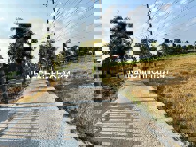 350tr/500m2 Vườn Sổ Sẵn. gần bên Phà Long Sơn. có nền sẵn