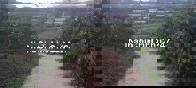 Bán đất tà nung , view đẹp