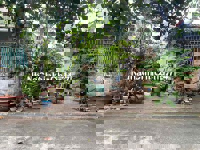 Chính Chủ Bán Đất 100m-Đường Nhựa 6m-Đông Hoà