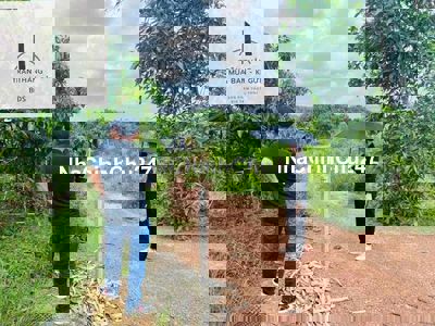 820triệu có ngay 1sào1 vườn Soài Đang Thu Hoạch