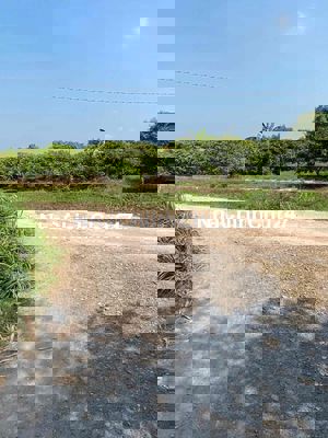 Đất làm vườn siêu đẹp 1159 m2 chỉ 720 triệu hết đất