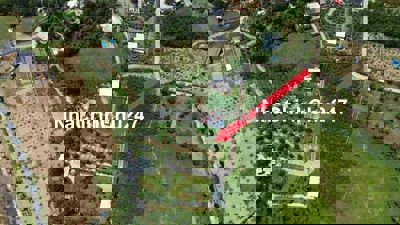 Đất trồng cây hằng năm 440m2 trên hòa ninh, gần nhiều farm đẹp.