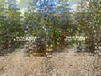 giá sốc,ban 1,4 ha chi với giá 2 tỷ,cần bán gấp,