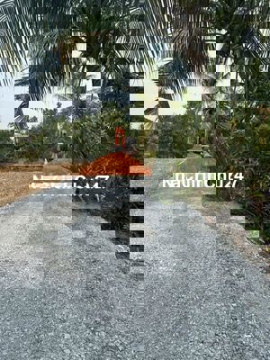 HÀNG NGỘP GIÁ RẺ TẠI BÌNH CHÁNH đường tải 6T giá: 2.6tr/m2