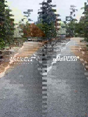 vườn cây ăn trái trung an