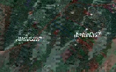 1568m Đất Quảng Khê-Đak Nông