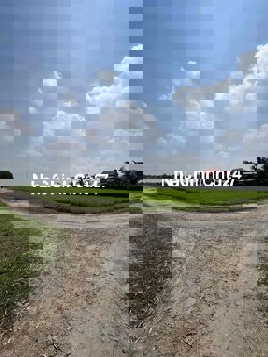 đất rớt nhựa phú sinh cát tường 50m đất lúa shr lhe ***