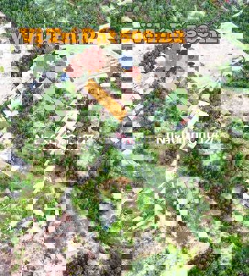 Cần bán lô đất 500m² sổ riêng sát trung tâm