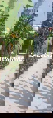 200m đất gần Chợ Phú văn chủ kẹt tiền bán chỉ 1ti990