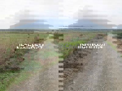 Bán hơn 1hecta đất trống đường lớn,vuông, gần biển, thuận làm nhà vườn