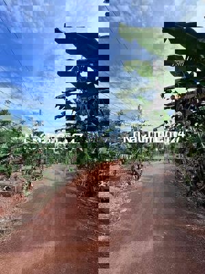 1 mẫu 9 Xuân Thọ Xuân Lộc Đồng Nai.giá 390 triệu một sào