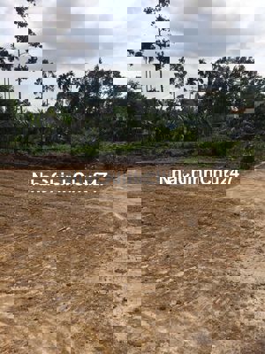 Nhà có việc cần bán gấp