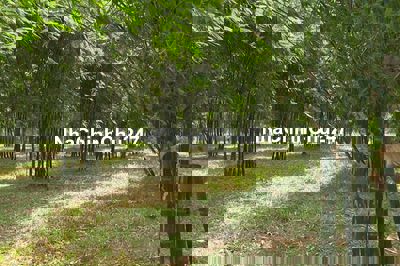 bán đất nông nghiệp ấp 9, xuân tây, 1,4ha, 500tr/xào.