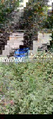 Đất:5mx30 MTtrịnh quan nghi.p7q8.800tr.***