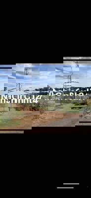 Bán 5 sào vườn sầu riêng cách Saigon 130km dân ở đông