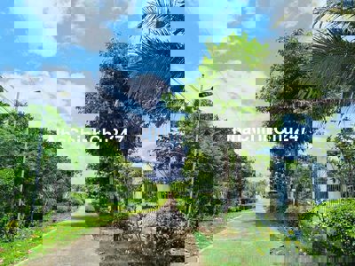 350tr 👉Vườn 1400m2 ô tô vi vu lưng tựa đồi