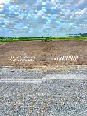 Đất vườn 2000m²,sổ hồng,tl 818 vào 500m,xe hơi trước đất (kênh 8)