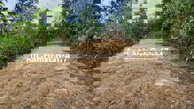 Đất NN đảo Phú Quý