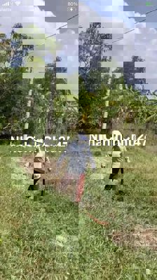 Chính chủ gửi bán Lô đất Xã Tân Quý Tây,Huyện Bình Chánh